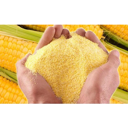 玉米糁-乔氏面粉-玉米糁厂家