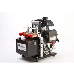 雷沃科技(图),液压机动泵型号,液压机动泵