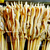 武汉毛明圣餐饮公司(图)-烤鸭肠加盟培训-汉阳烤鸭肠加盟缩略图1