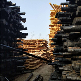 油木杆生产厂家-油木杆-振华防腐材料(多图)