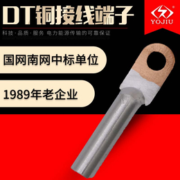 供应 铜铝鼻DTL-300平方铜铝过渡