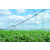 欣农科技(图)|智能节水灌溉设备品牌排行榜|智能节水灌溉设备缩略图1