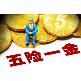 个人五险一金查询|墨哲人力(在线咨询)|海港区五险一金