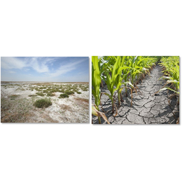 土壤调理剂报价、济源土壤调理剂、河北嘉和生物公司