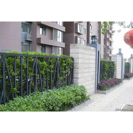出售围墙护栏网-围墙护栏-泰安世通铁艺厂(查看)