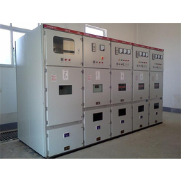 高压柜系统-国能电气(在线咨询)-梧州高压柜