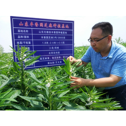 出口芝麻粉厂商、丰香园芝麻食品、芝麻粉