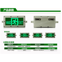 白沙应急模块