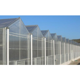 阳光板温室的土建工程、齐鑫温室园艺(在线咨询)、阳光板温室