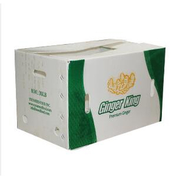 榴莲包装箱价格-弘特包装科技公司-达州包装箱