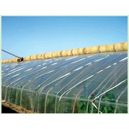 日光温室承建,鑫和温室园艺(在线咨询),陕西日光温室
