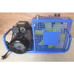 国产空气呼吸器充气泵