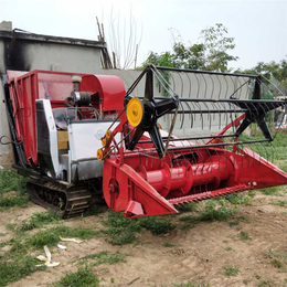 自走式玉米秸秆履带式青储机 牧草粉碎青贮收割机厂家