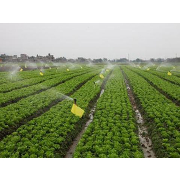 果园灌溉工程工程设备、欣农科技、果园灌溉工程