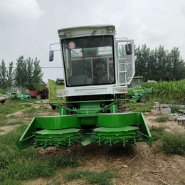新型黑龙江厂家销售大型圆盘式青储机 饲料青贮收割机