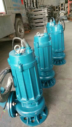 QW潜污泵-华安水泵(在线咨询)-污水泵