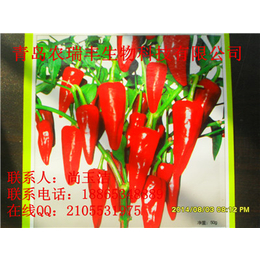 求购北京红辣椒种子,芜湖北京红辣椒,农瑞丰