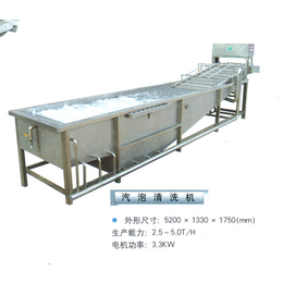 气泡式清洗机-龙祥食品机械(在线咨询)-忻州 气泡清洗机