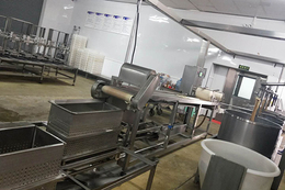 震星豆制品机械设备(图)-豆干机生产设备价格-莱芜豆干机