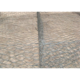 浸塑石笼网-天阔筛网-浸塑石笼网规格