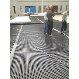 同昇工程材料(图)-屋顶排水板-排水板