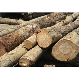 进口橡胶木如何报关-黄埔港橡胶木进口清关费用及流程