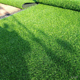 假草皮人造草坪地毯*园草坪垫子绿色户外围挡草坪人工塑料缩略图