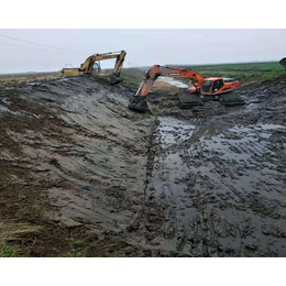 水上挖掘机租赁-厦门水上挖掘机-刚刚水陆挖掘机(查看)
