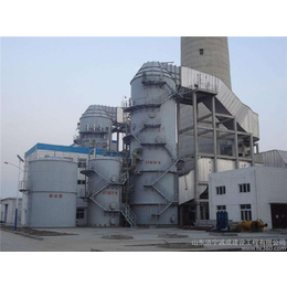 泰山行星环保科技(多图)-商洛燃煤锅炉脱硫脱硝可靠厂家