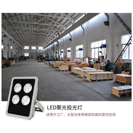 led投光灯-星珑照明(图)-100w led投光灯