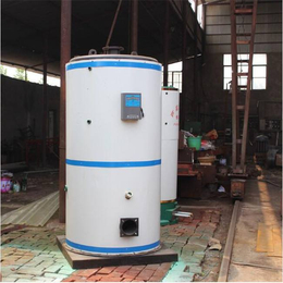 小型立式燃气热水锅炉供应-小型立式燃气热水锅炉-泰润环保