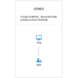 广州B2B2C多用户商城系统  网上商城系统制作