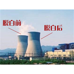 青县烟气脱白-天津耐驰环保技术公司-化工厂烟气脱白
