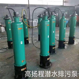 潜水泵-灵谷水泵-矿用污水潜水泵