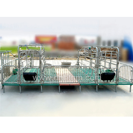 可拆卸母猪产床-衡阳母猪产床-恒泰农牧设备正确选择