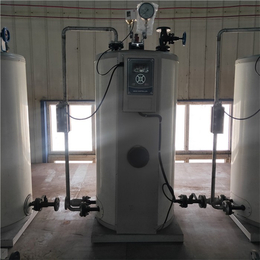 隆鑫热能设备(在线咨询)-蒸汽发生器-生物质蒸汽发生器