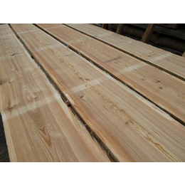 建筑杉木生产厂家-友联木业(在线咨询)-建筑杉木