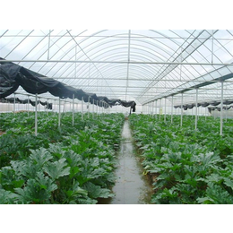 薄膜温室厂家-薄膜温室-青州瀚洋农业