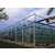 玻璃温室大棚工程-鑫凯农业(在线咨询)-西安玻璃温室大棚缩略图1