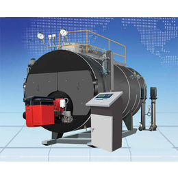 重庆卧式蒸汽锅炉-尚亿锅炉(在线咨询)-8吨卧式蒸汽锅炉