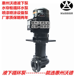YLX250-40泵0.75KW液下泵喷涂泵水帘柜泵