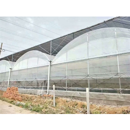 薄膜连栋温室设计图-青州瀚洋农业(在线咨询)-薄膜连栋