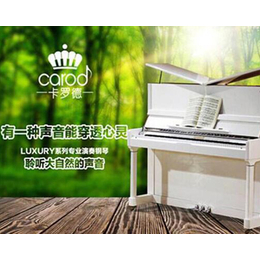 贝宁二手钢琴-忻州二手钢琴-松吟乐器