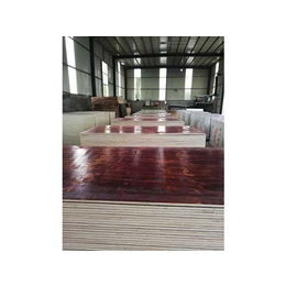 沧州厂区用建筑模板-福琨建筑模板-厂区用建筑模板批发