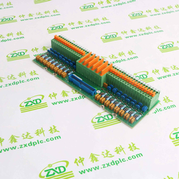 IC693PCM301