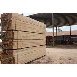 山东辐射松建筑木材-顺莆木材加工厂家-辐射松建筑木材市场