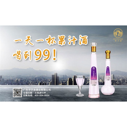 贺州果汁酒-果汁酒公司-广东华子龙(推荐商家)