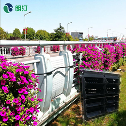朗汀立体绿化一站式服务商 供应护栏悬挂种植容器