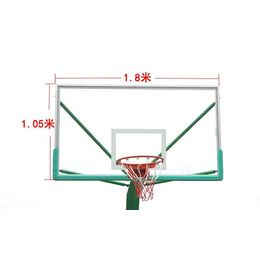 儿童篮球架高度-华滨体育(在线咨询)-儿童篮球架