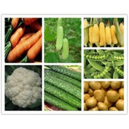 祥茂膳食(图)-蔬菜配送中心-花都蔬菜配送
